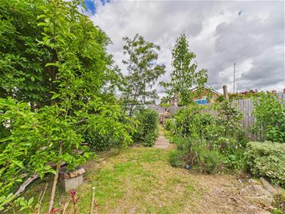 Picture 25